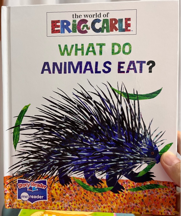 what do animals eat