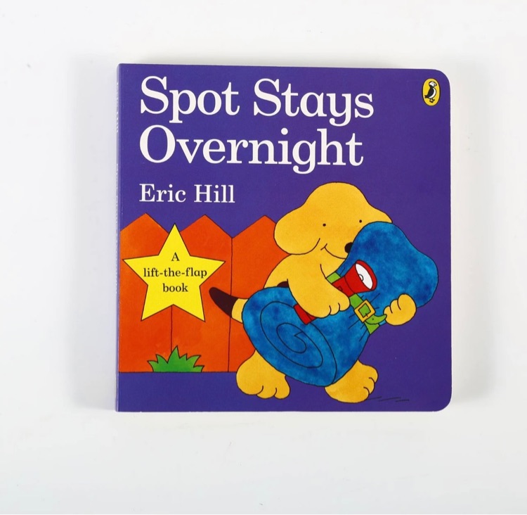 Spot Stays Overnight