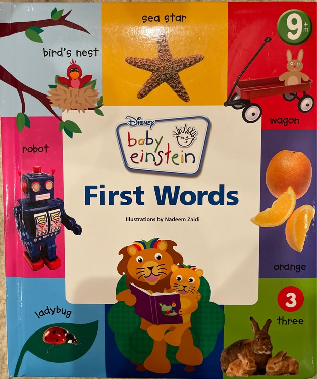 Baby Einstein - First Words