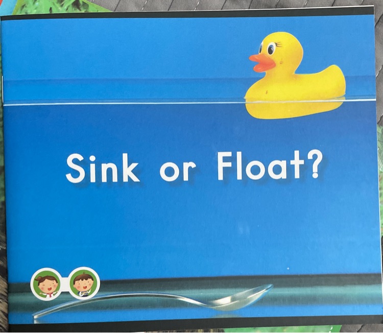 sink or floak