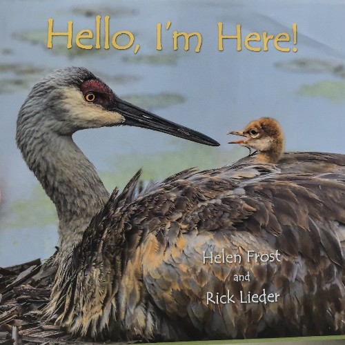 Hello, I'm Here