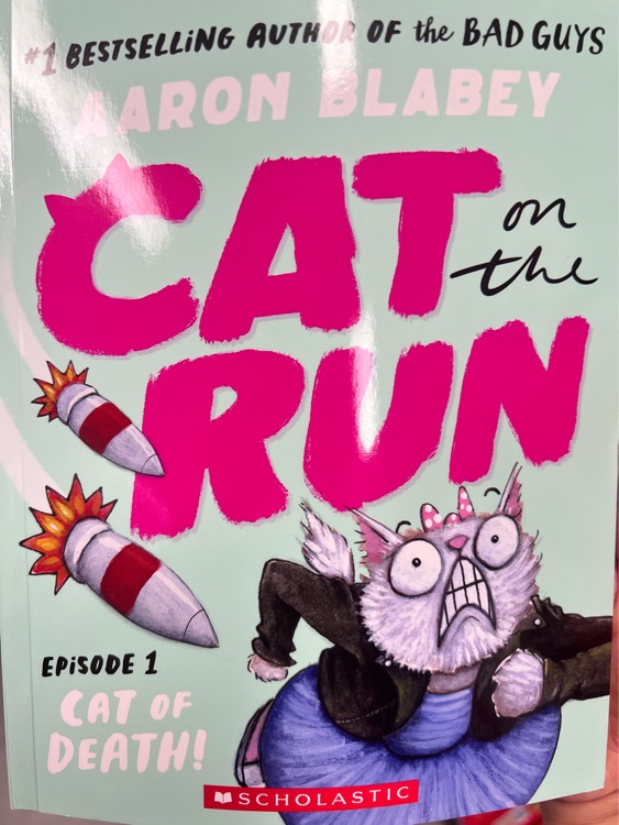 Cat on the Run