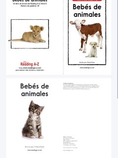 Farm Animals(RAZ aa Spanish)