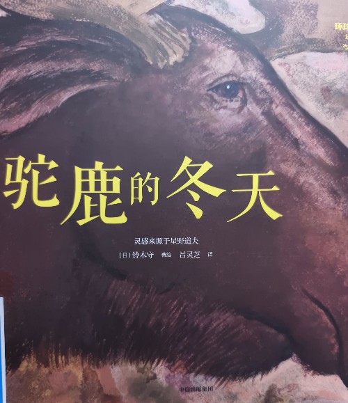 駝鹿的冬天