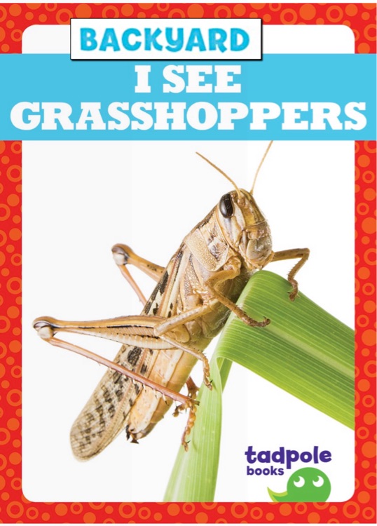 I see grasshoppers