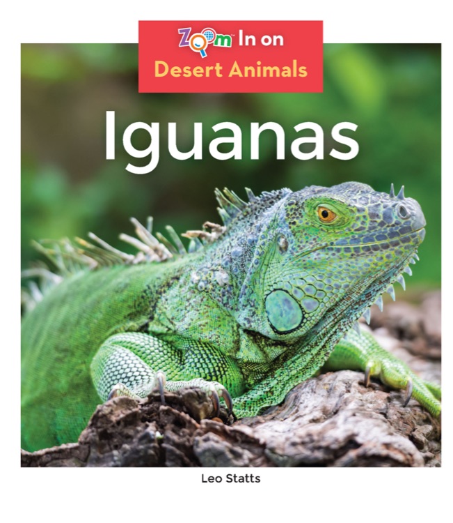 Iguanas