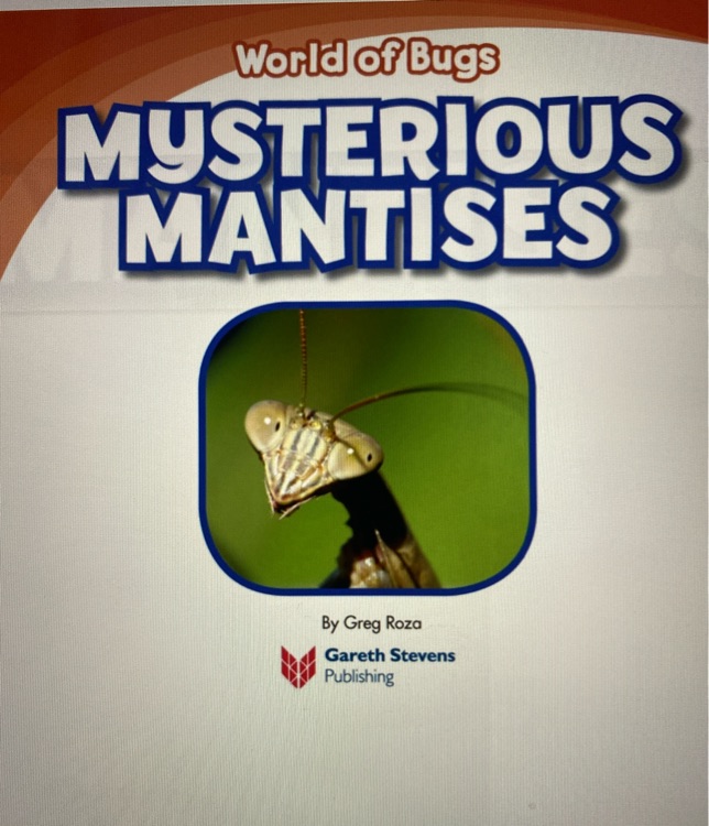 mysterious mantises