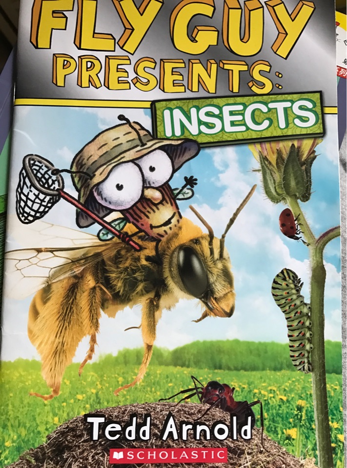 Insects