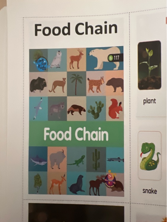 Food chain