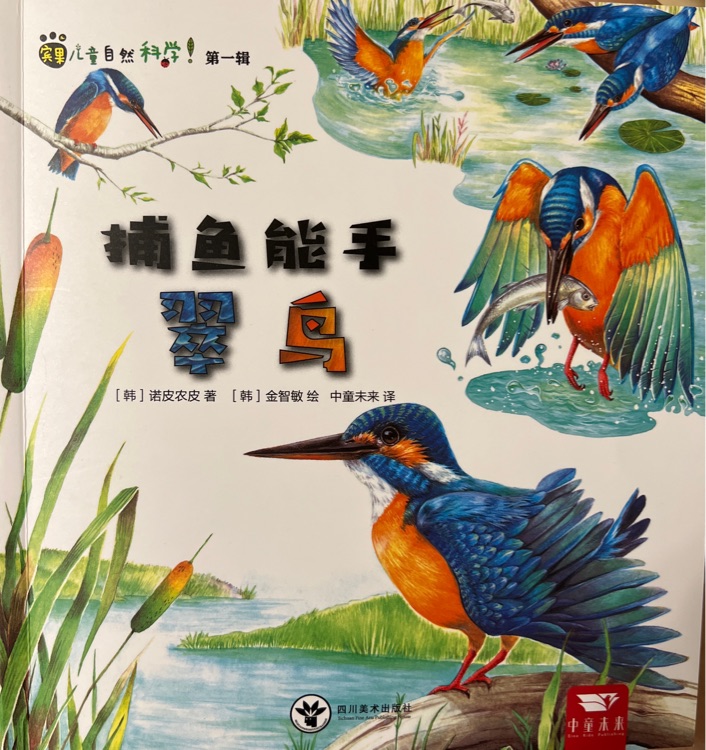 捕魚(yú)能手 翠鳥(niǎo)