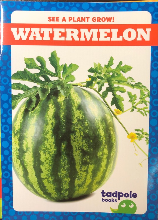 Watermelon