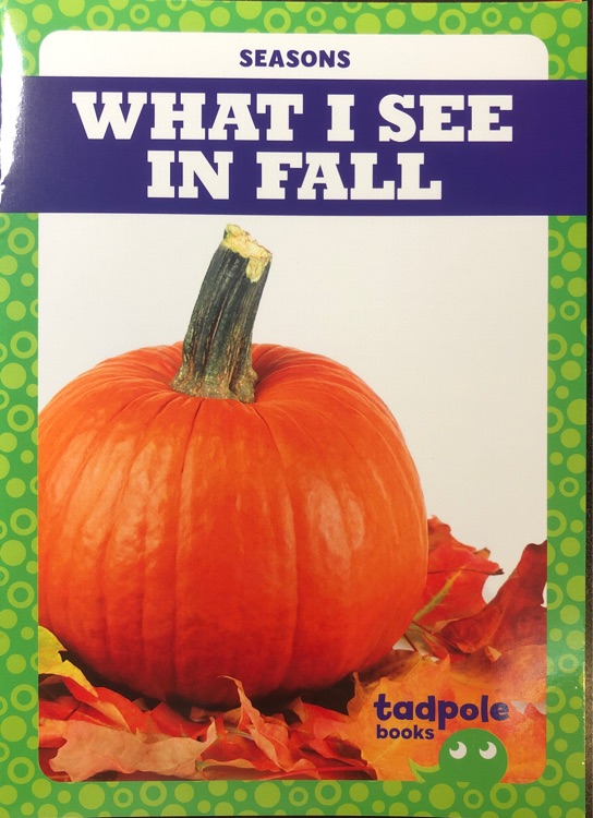 What I see in fall