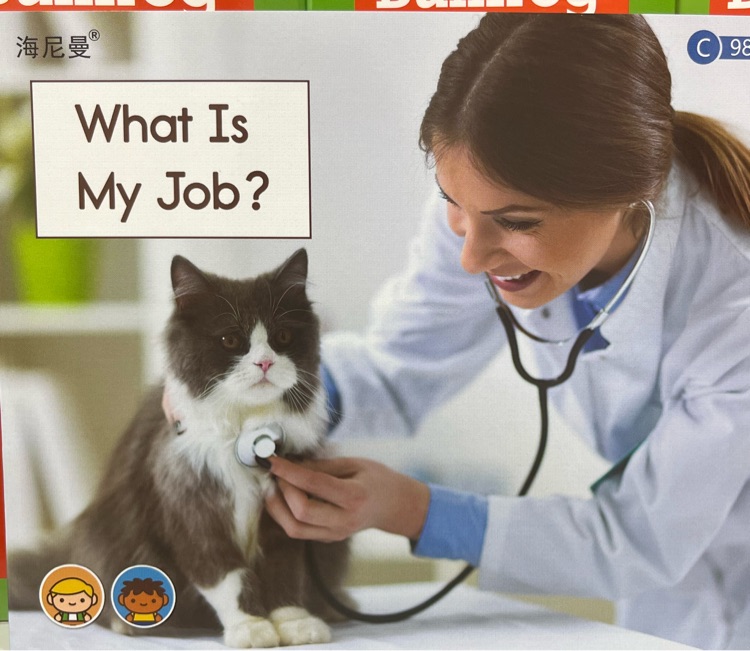 Heinemann GK-98: What is My Job?