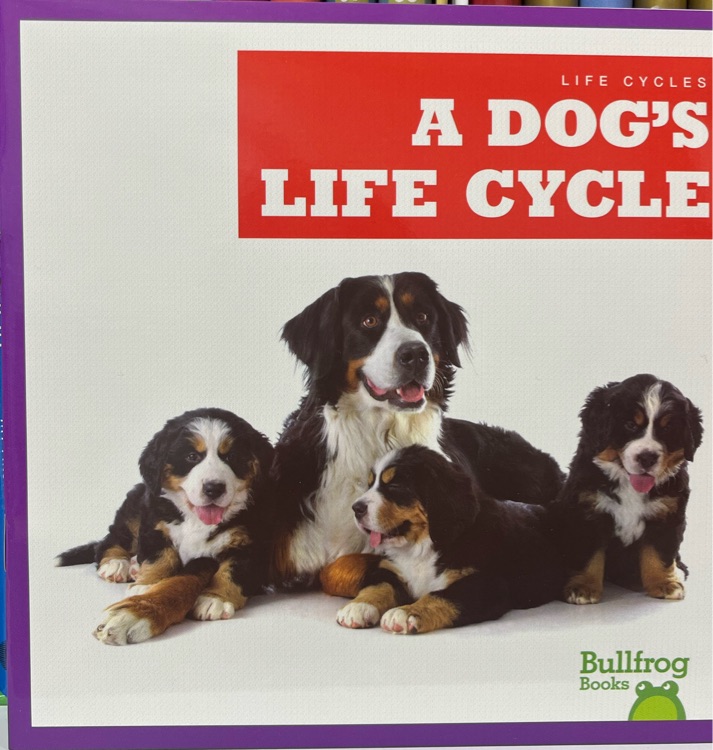 A Dog's Life Cycle