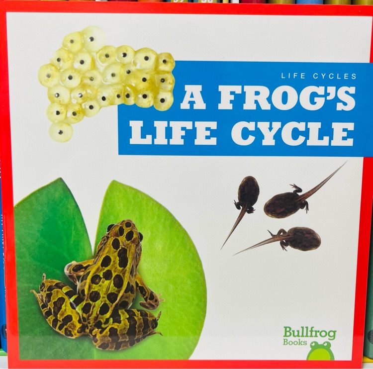 A Frog's Life Cycle