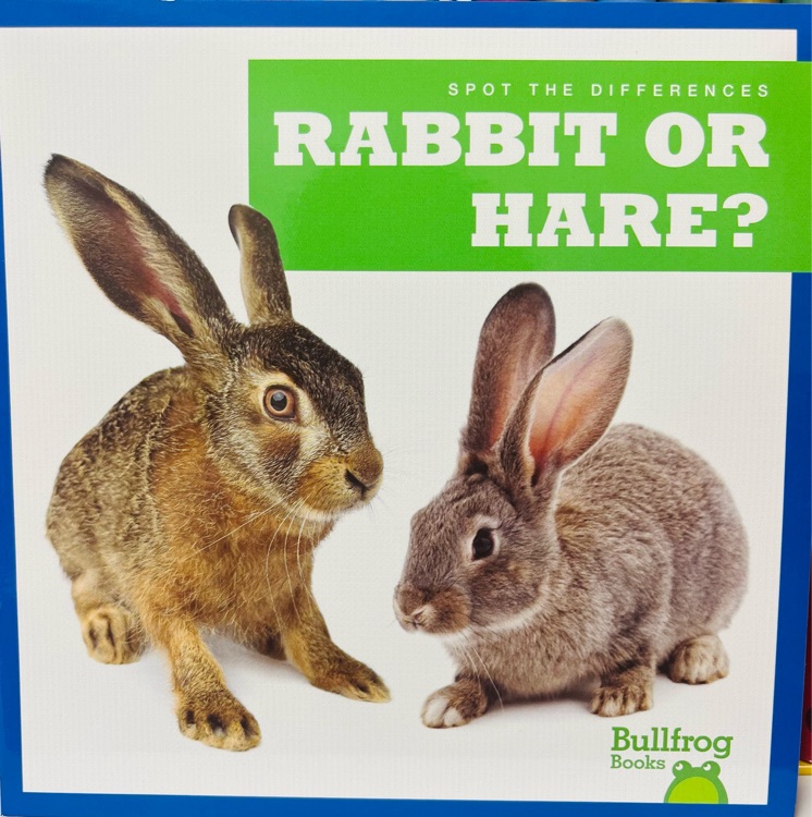 Rabbit or Hare