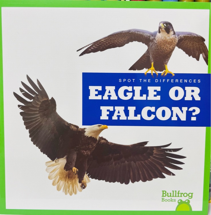 Eagle or Falcon