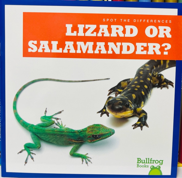 Lizard or Salamander