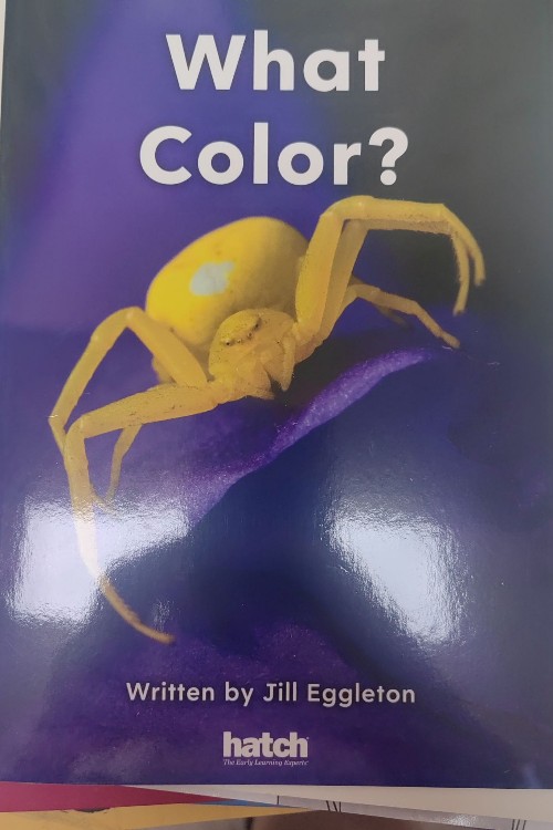 what color