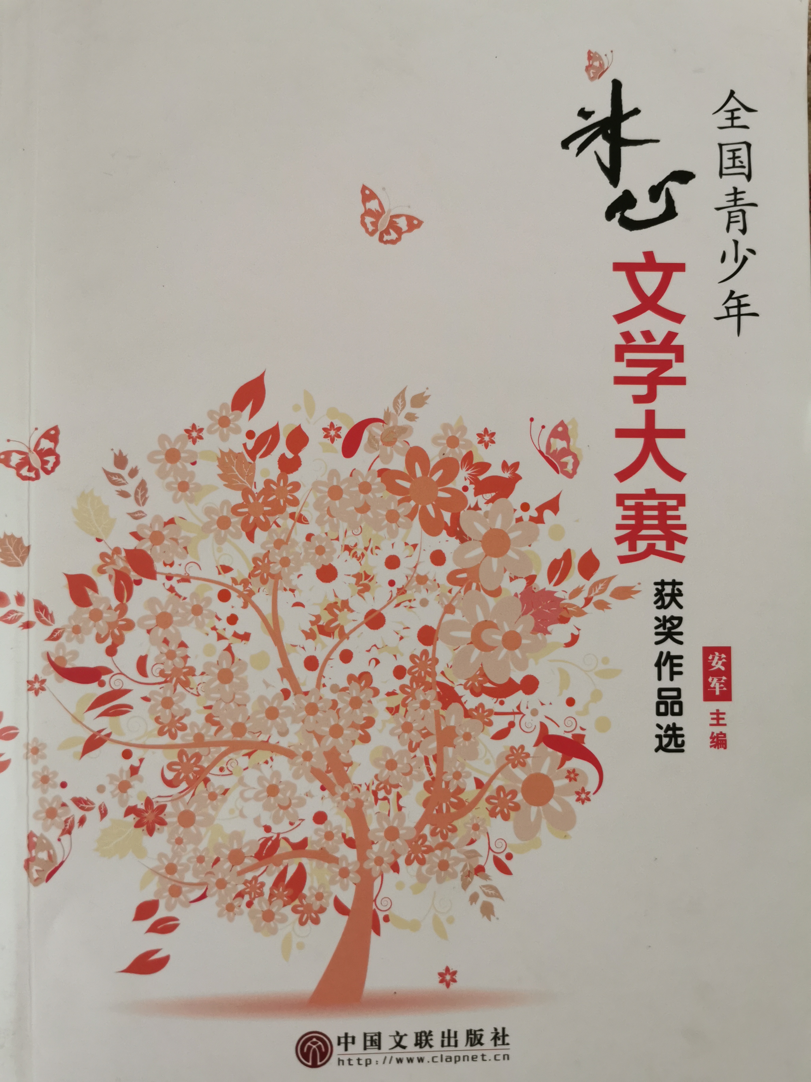 全國(guó)青少年冰心作文大賽獲獎(jiǎng)作品選