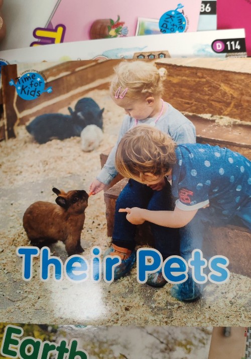 their pets