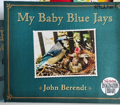 My Baby Blue Jays (Dolly Parton's Imagination Library)