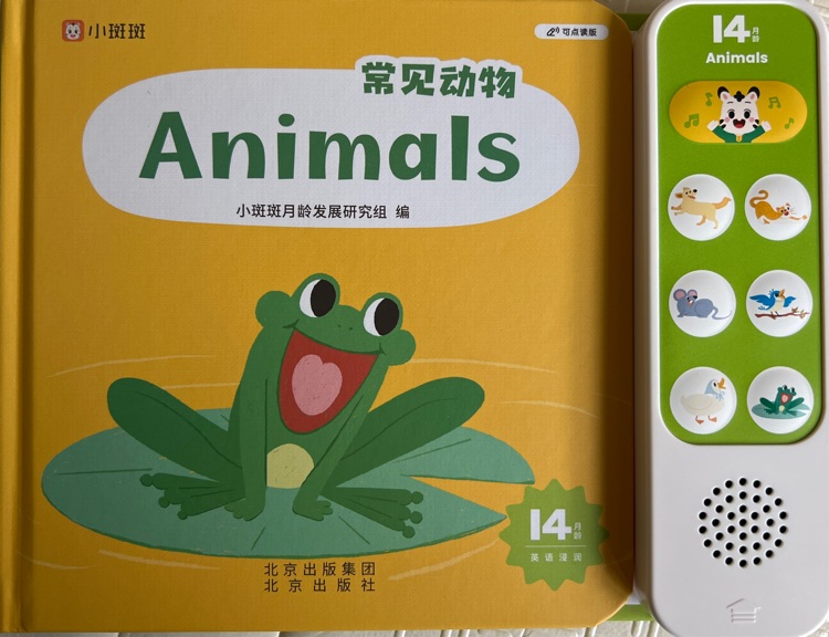 常見動物animals