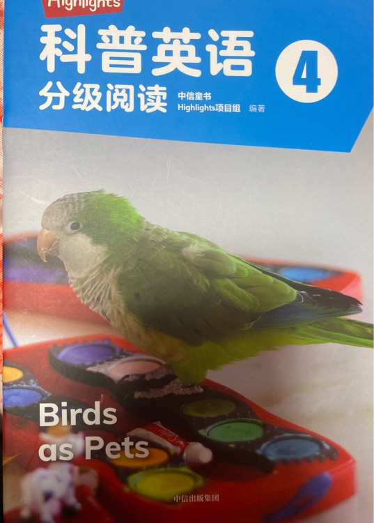 Birds as Pets