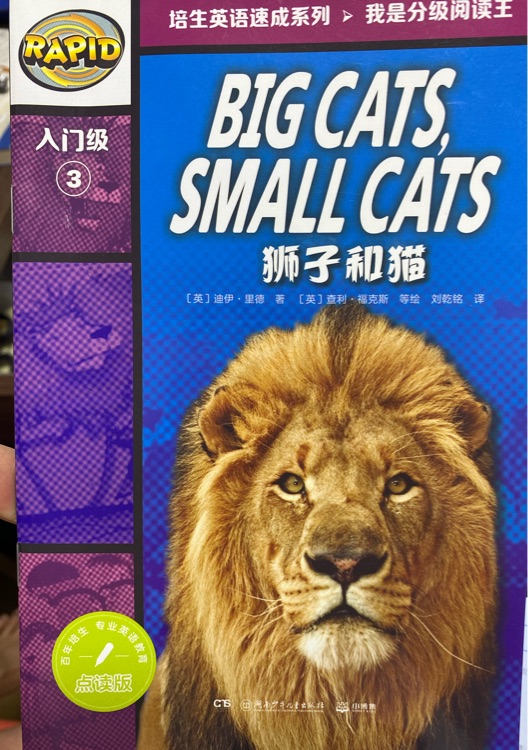 BIG CATS,SMALL CATS