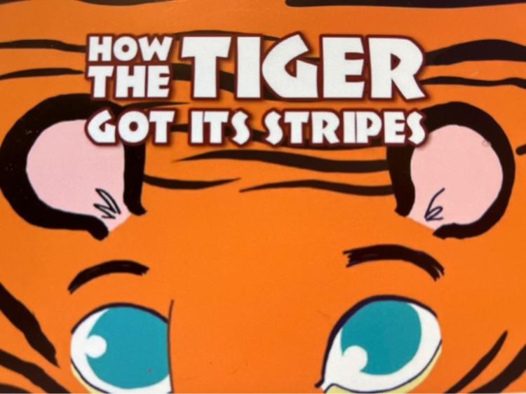 How the tiger got its stripes