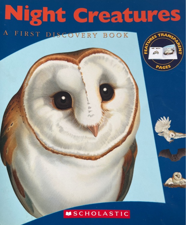 Night Creatures: A First Discovery Book