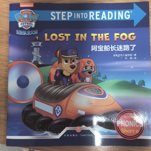 lost in the fog