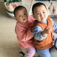 JoJo n Dodo