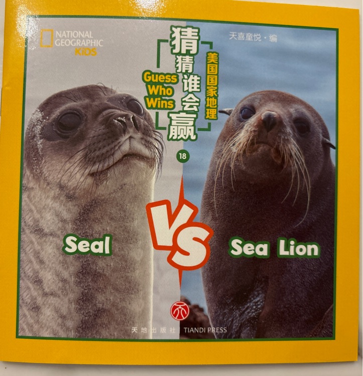 seal VS sea Lion