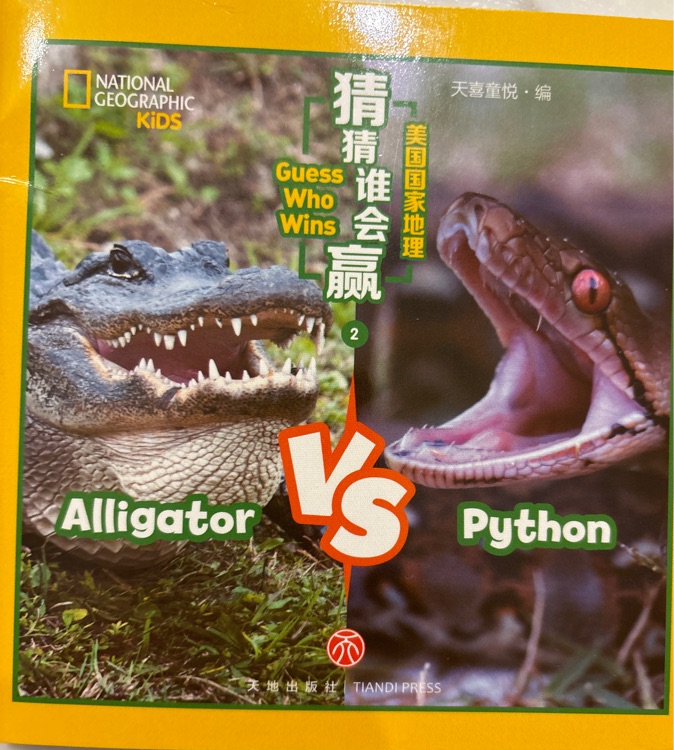 alligator vs python