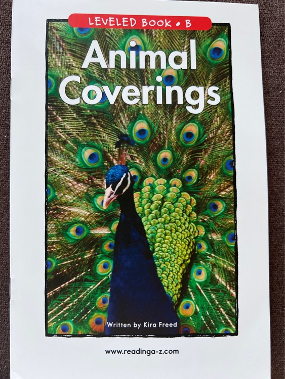 Animal Coverings