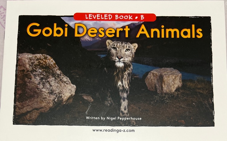 Gobi Desert Animals