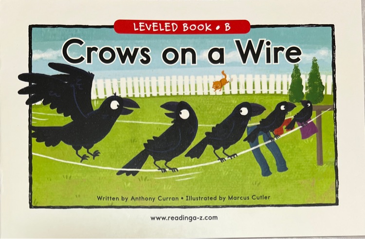 Crows on a Wire