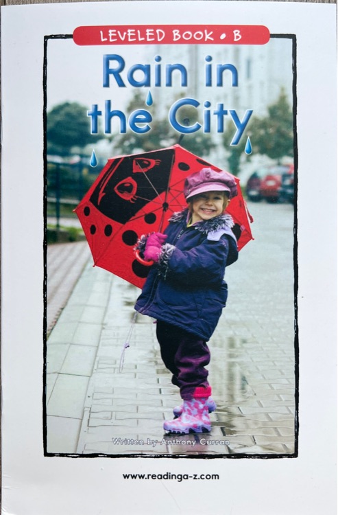 Rain in the City