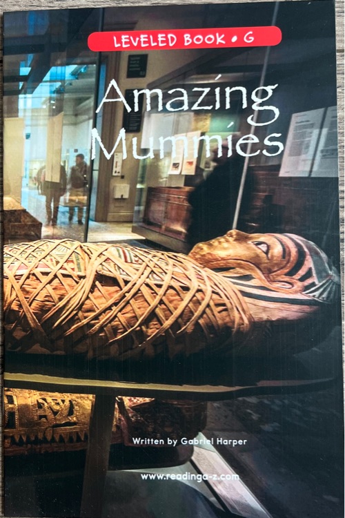 Amazing Mummies