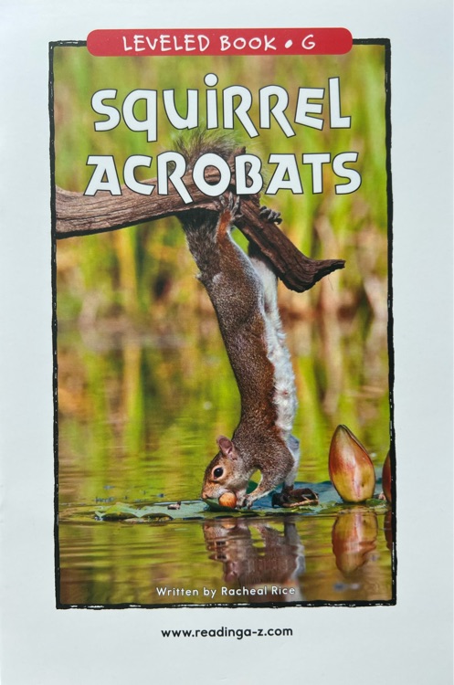 Squirrel Acrobats