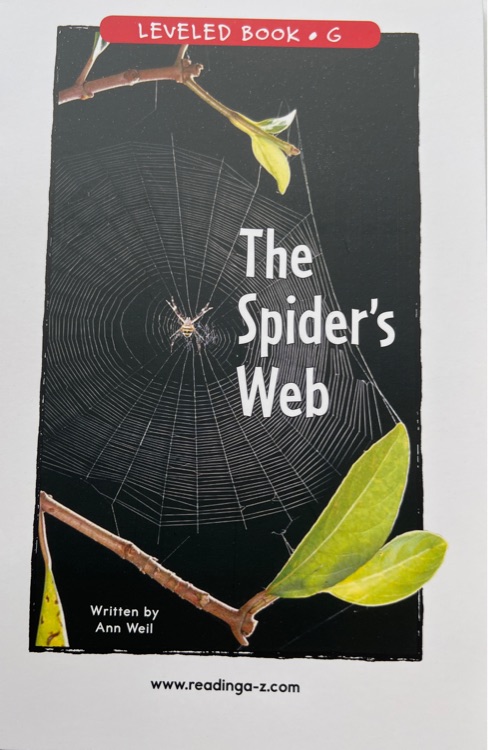 The Spider's Web