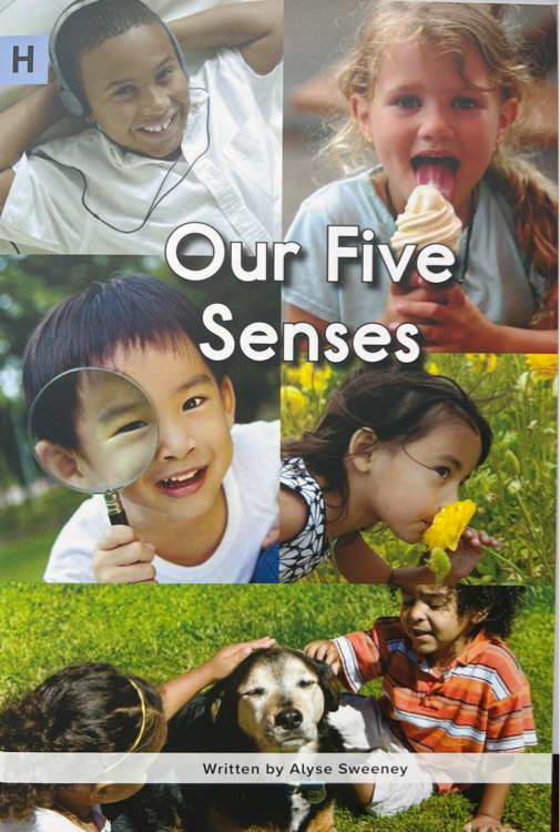 Our Five Senses