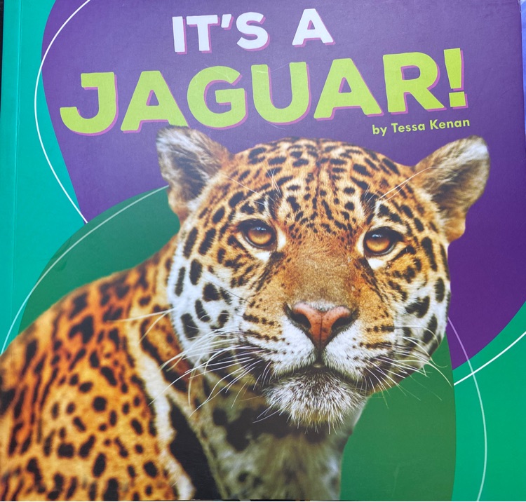 IT'S A JAGUAR!