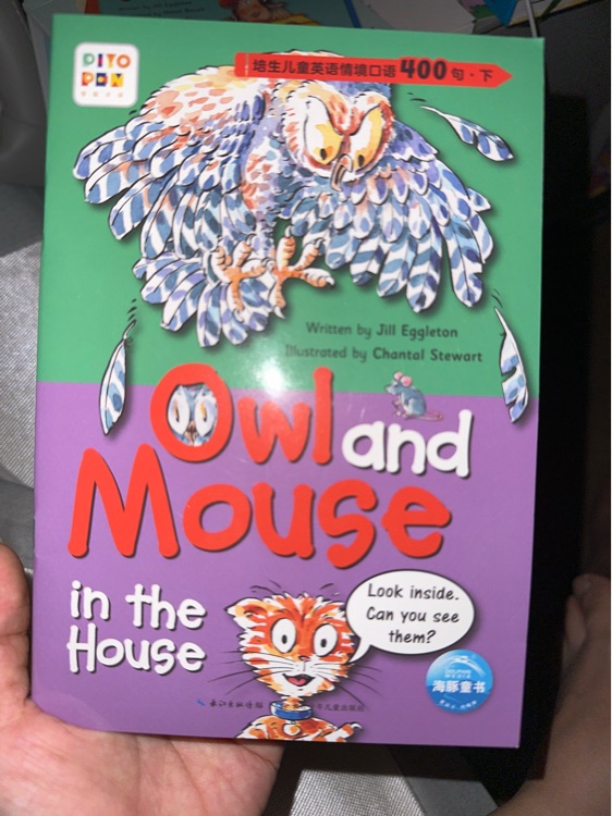 Owl and Mouse in the house