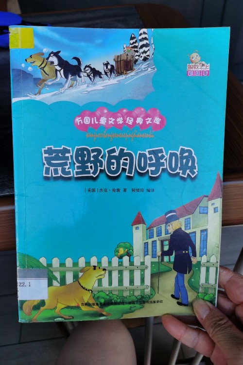 荒野的呼喚