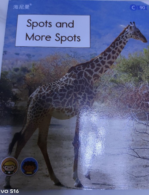 Spots and More Sport