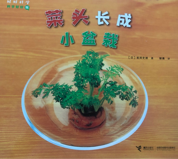好好科學系列: 科學好好玩: 菜頭長成小盆栽