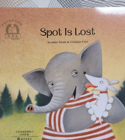 spot is lost