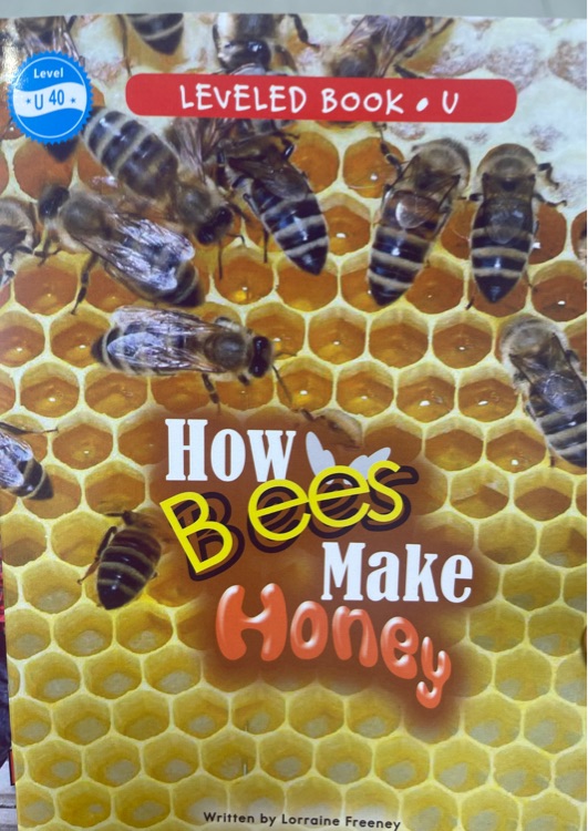 How Bees Make Honey